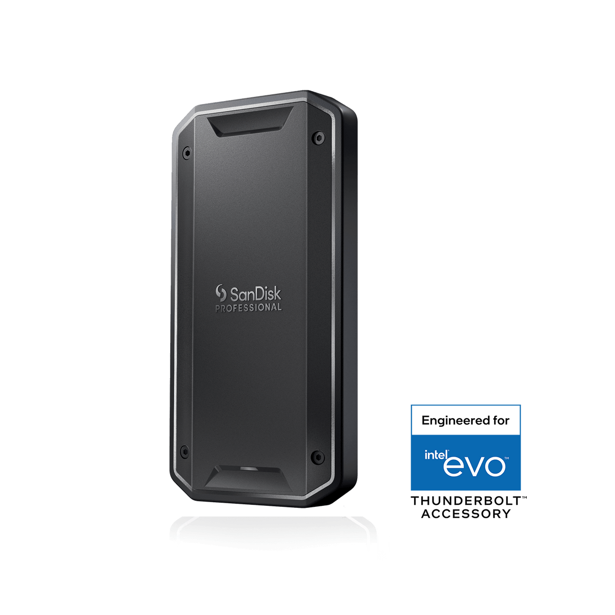 SanDisk Professional PRO-G40 SSD · 2 To