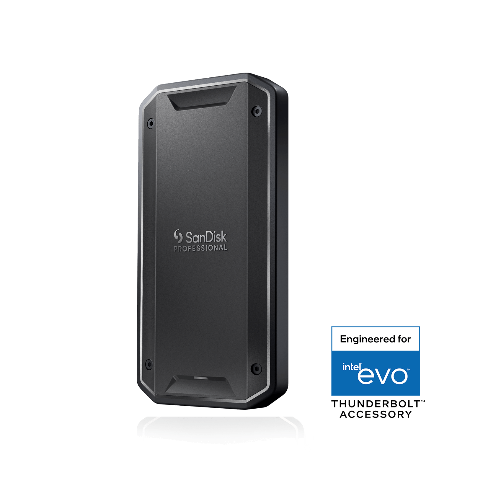 SanDisk Professional PRO-G40 SSD · 2 To
